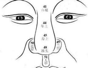 福鼻 面相|面相图解 相学最有福气的7种鼻子